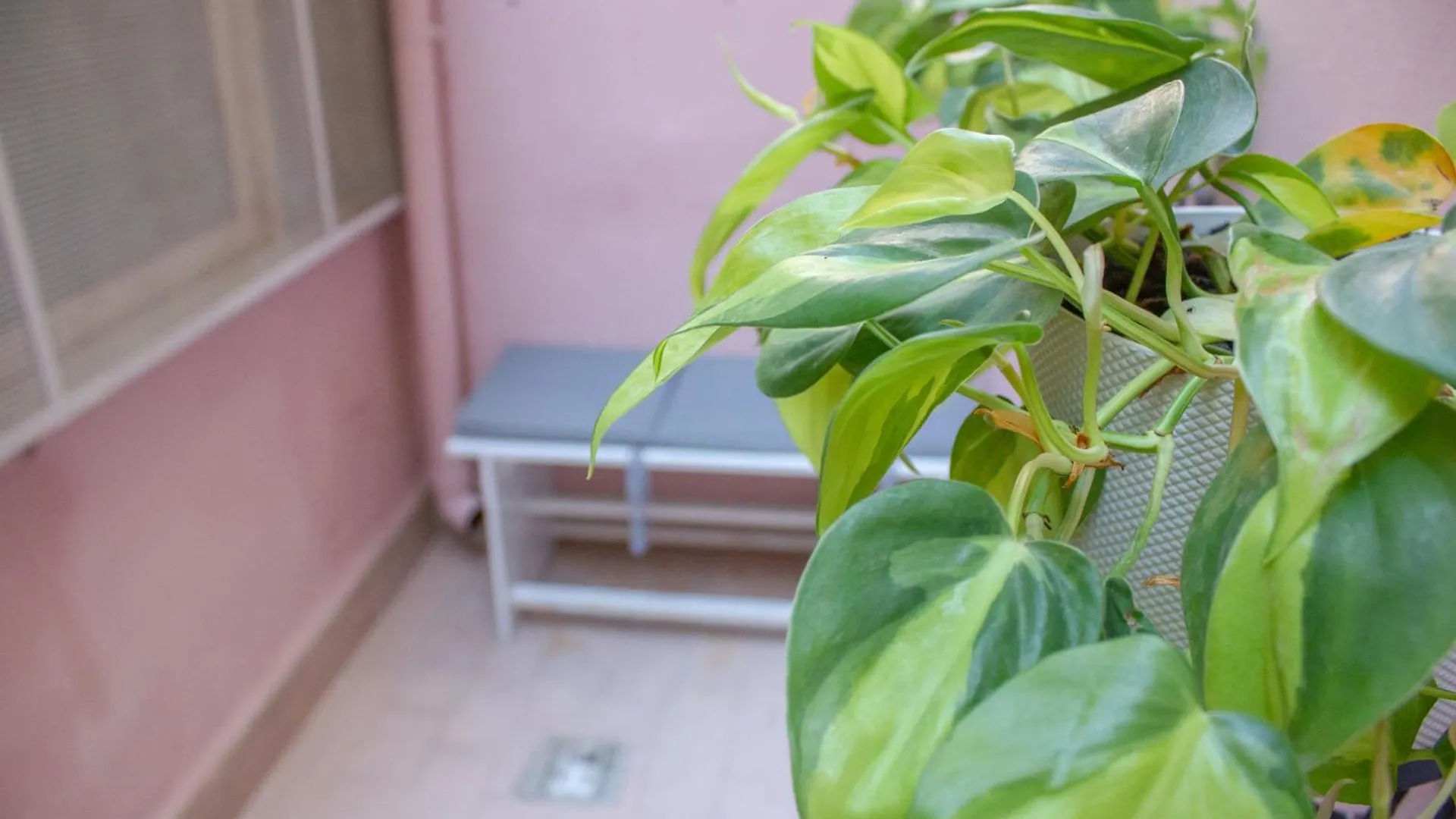 דירה פלרמו Casa Espaciosa Y Confortable
